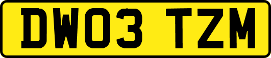 DW03TZM