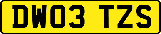 DW03TZS