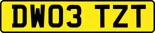DW03TZT