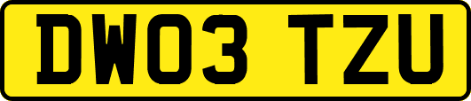 DW03TZU