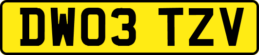 DW03TZV