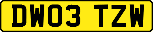 DW03TZW