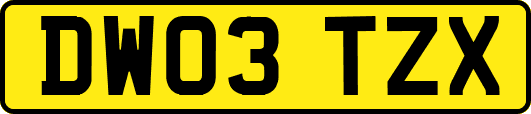 DW03TZX