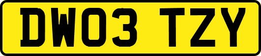 DW03TZY