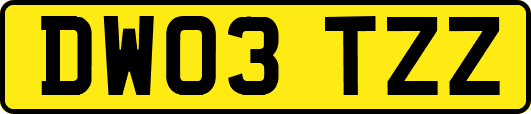 DW03TZZ