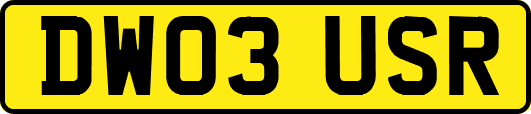 DW03USR