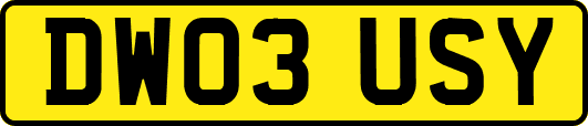 DW03USY