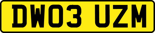 DW03UZM