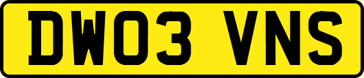 DW03VNS