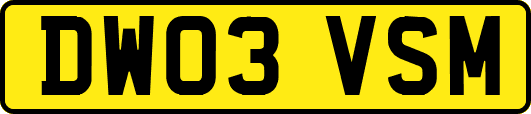 DW03VSM
