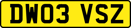 DW03VSZ