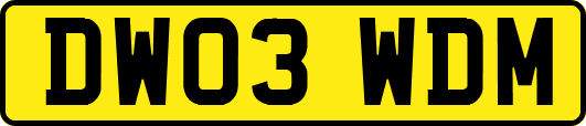 DW03WDM