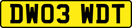 DW03WDT