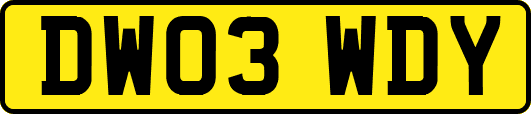DW03WDY