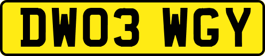 DW03WGY