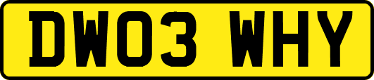 DW03WHY