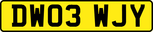 DW03WJY