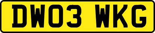 DW03WKG