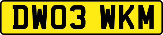 DW03WKM