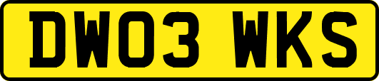 DW03WKS