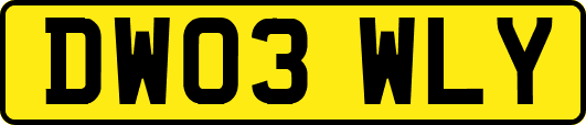 DW03WLY