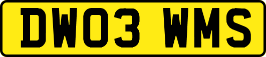 DW03WMS