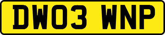 DW03WNP