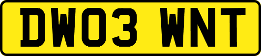 DW03WNT