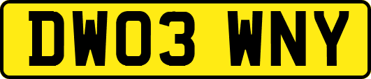 DW03WNY