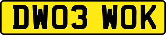 DW03WOK