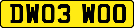 DW03WOO
