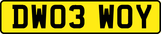DW03WOY