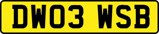 DW03WSB
