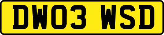 DW03WSD
