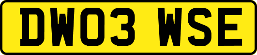 DW03WSE