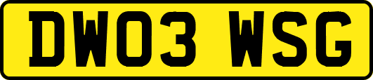 DW03WSG