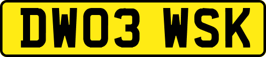 DW03WSK