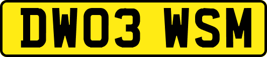 DW03WSM