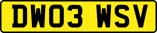 DW03WSV