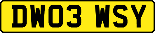 DW03WSY