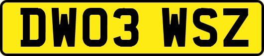 DW03WSZ