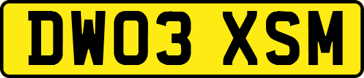 DW03XSM