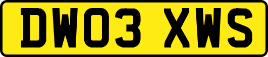 DW03XWS