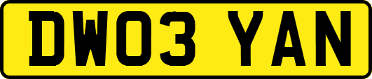 DW03YAN