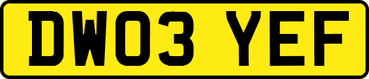 DW03YEF