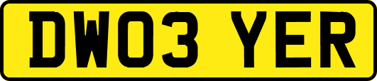DW03YER