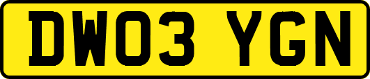 DW03YGN