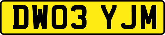 DW03YJM