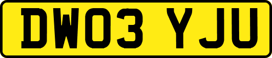 DW03YJU