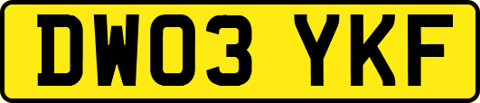 DW03YKF